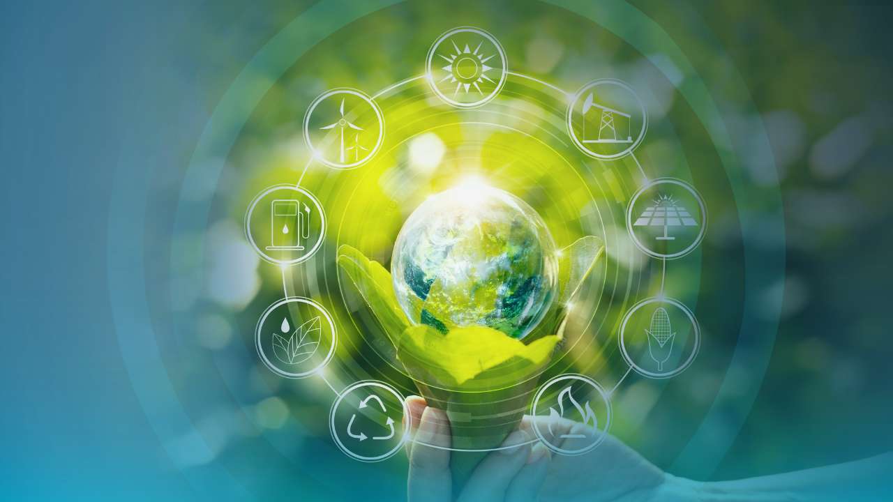Cos’è la sostenibilità ambientale: obiettivi e valore