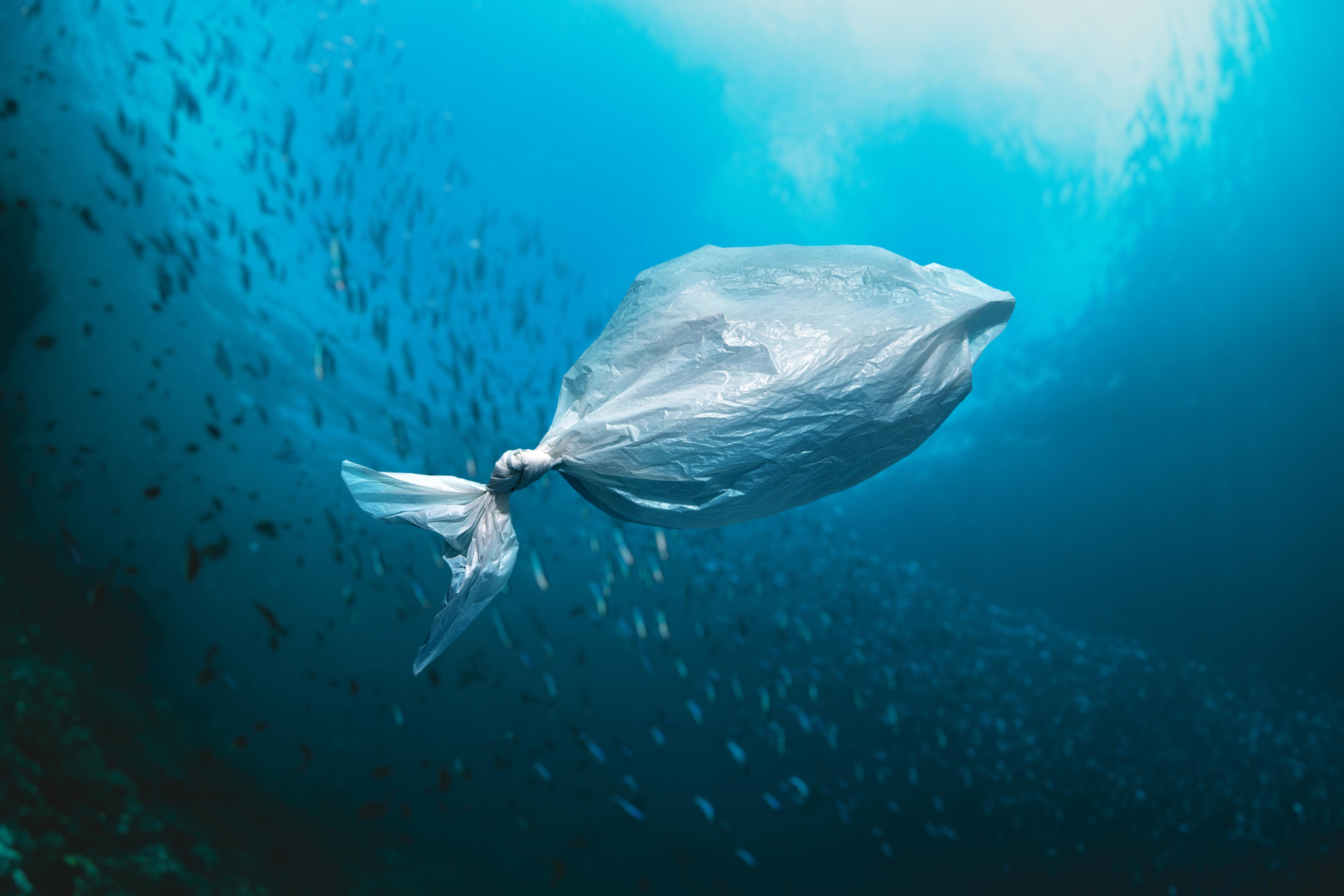 Microplastiche invisibili, impatto reale: la sfida della depurazione avanzata